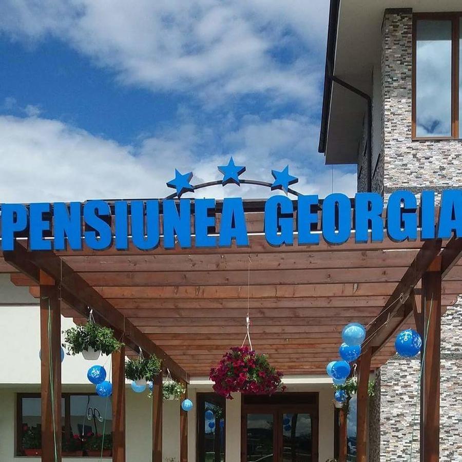 Pensiunea Georgia Lunguletu Exterior foto